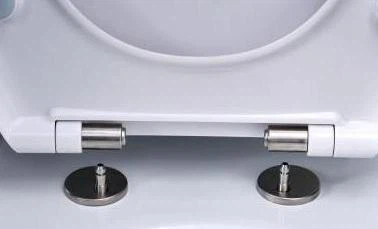 quick release toilet seat hinge