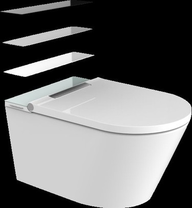 wc with built in bidet wc with built in bidet