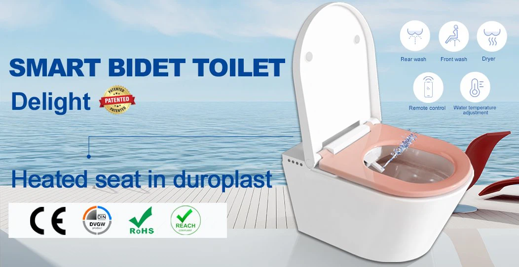 wc with built in bidet wc with built in bidet