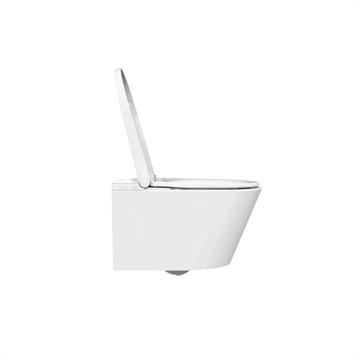 smart flush toilet