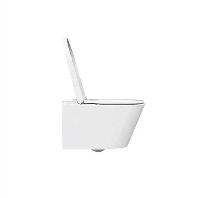 Integrierte intelligente Toilette