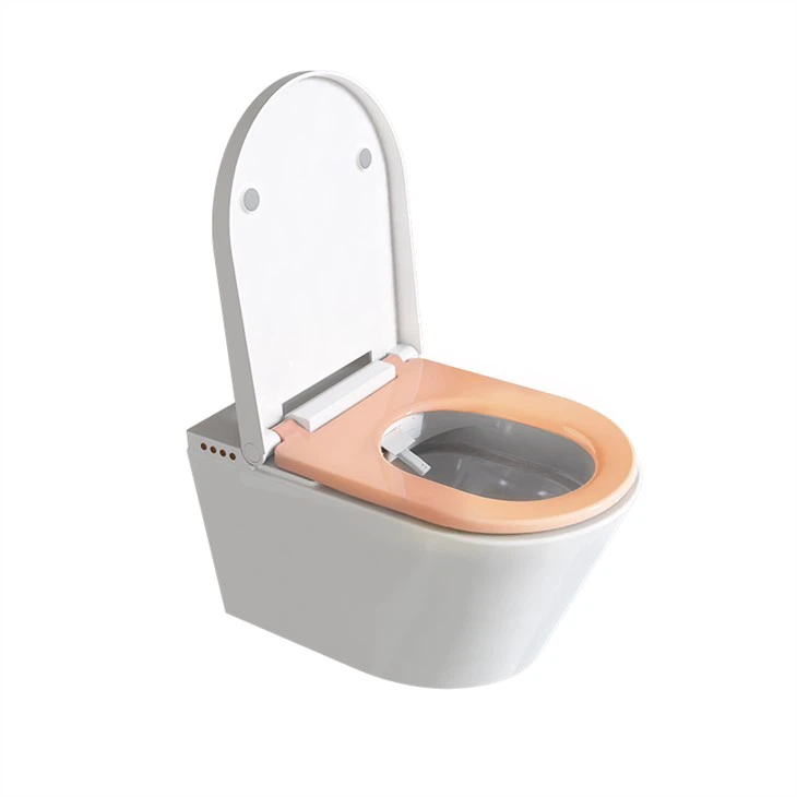 Intelligente Toilette mit beheiztem Sitz