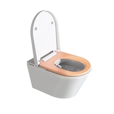 Bidet-Toilette mit warmem Wasser und Trockner
