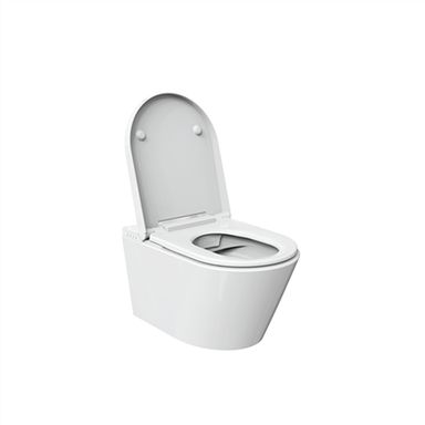 Toilettenschüssel mit Spülung und Bidet