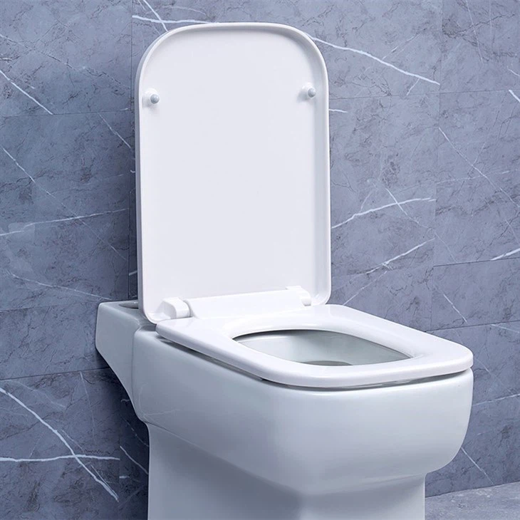 square shaped toilet seat